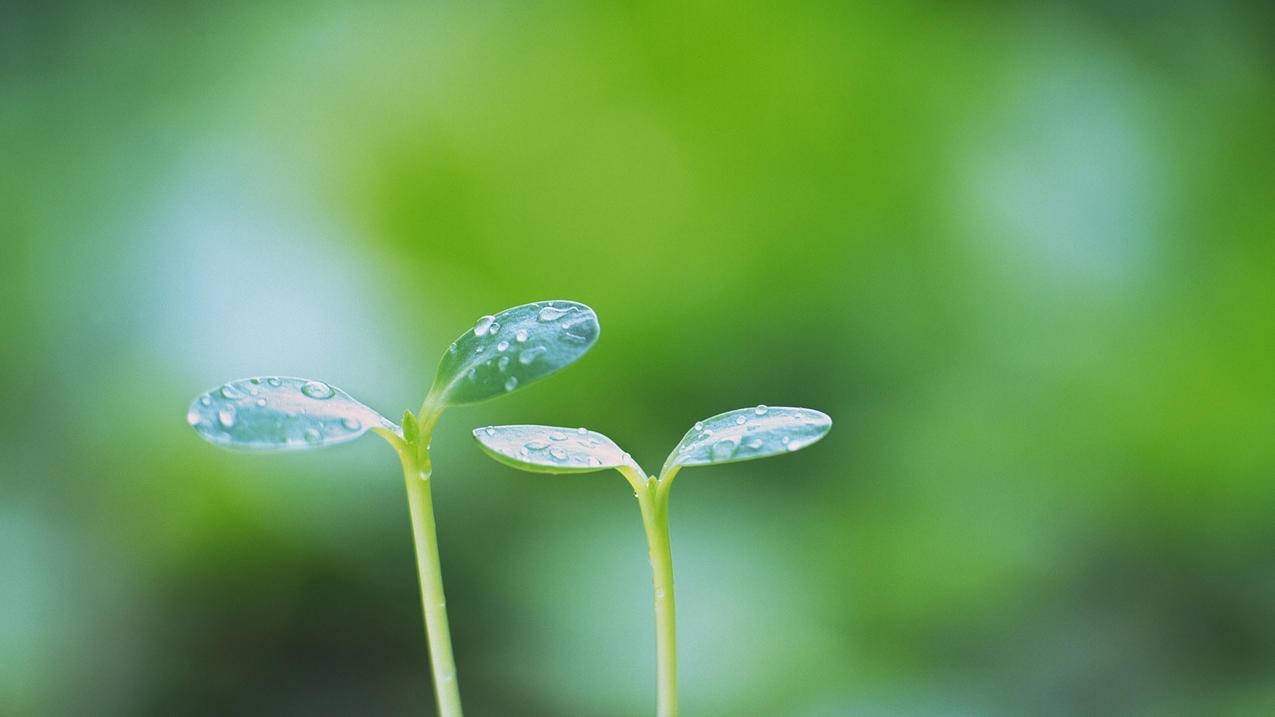 粉丝的涨发率_粉丝涨得慢了怎么回事_粉丝是怎么涨起来的