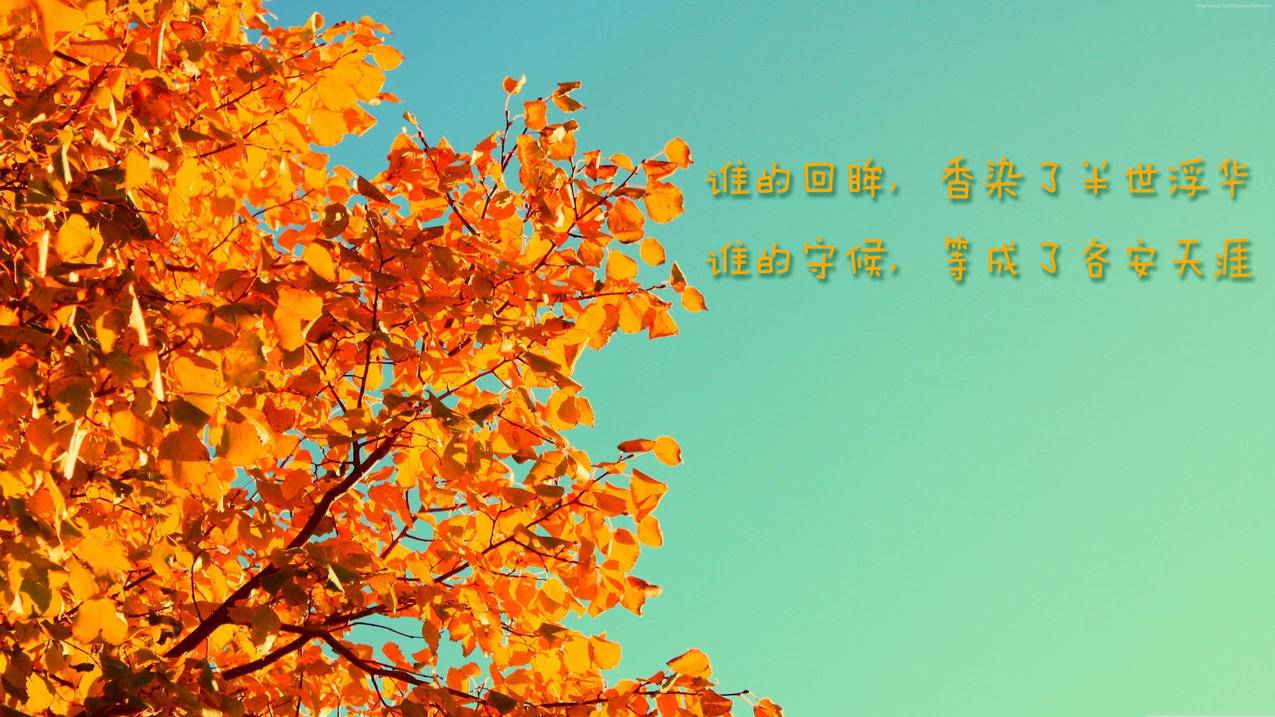 快手买站0.5块钱100个秒到张_快手秒抢快币_快手平台抢到快币怎么提现