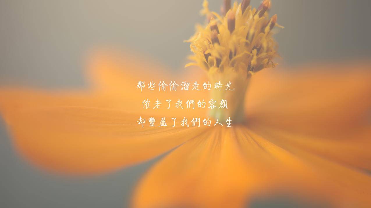 快手全网最低价下单平台_下单低价快手平台网址_超低价快手业务平台