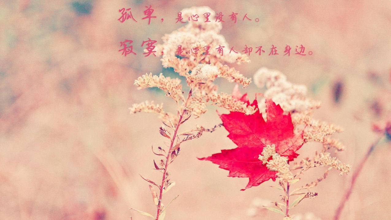 抖音购货_抖音商城买_抖音怎么买自己的货