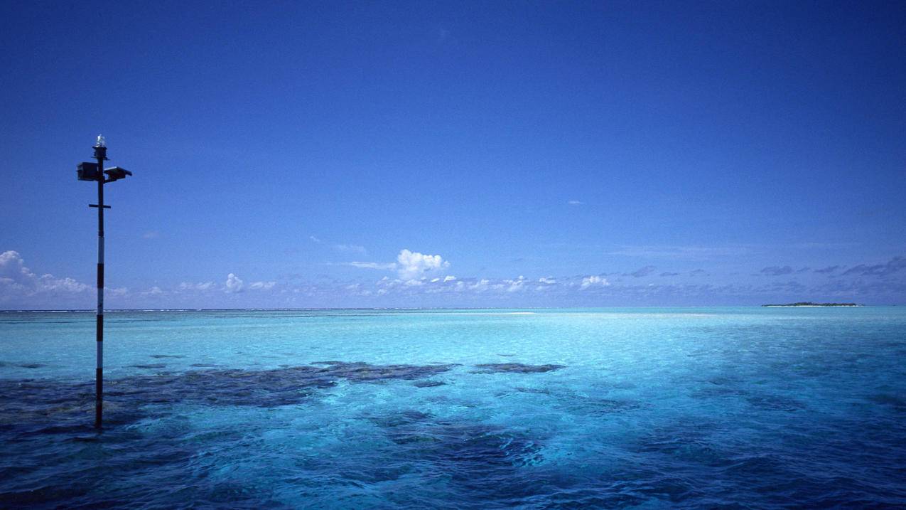 快手流量推广网站_最好的快手推广推广平台_快手推广网址