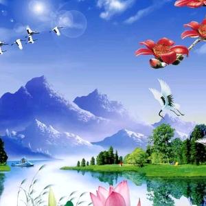 快手的播放量和评论有钱吗_快手怎么买播放量还有评论呢_快手评论费流量吗