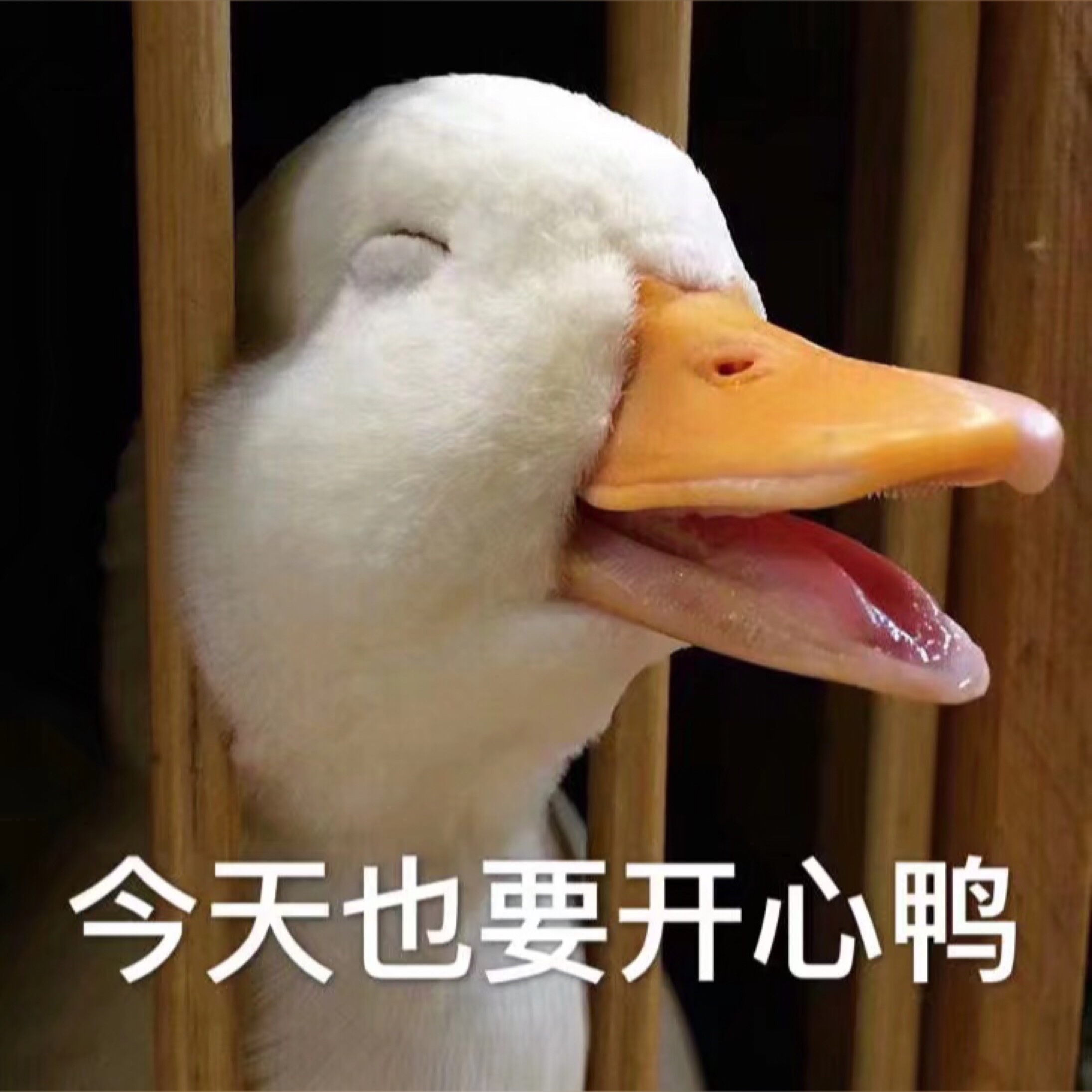 快手接单业务平台有哪些_快手接单平台业务_快手接单业务平台电话