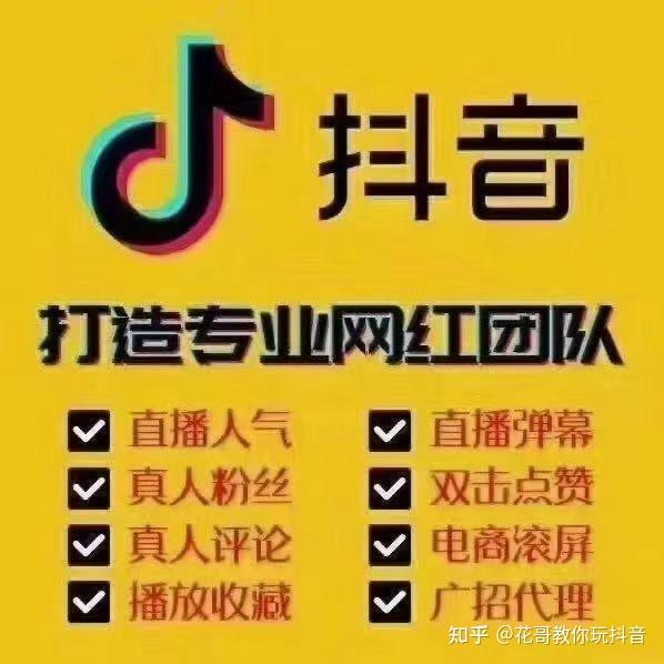 抖音粉丝增加方法2020_斗音增加粉丝_抖音粉丝增加的app