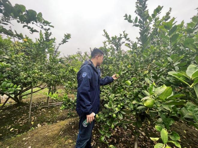 粉丝团链接_粉丝订单_粉丝下单链接