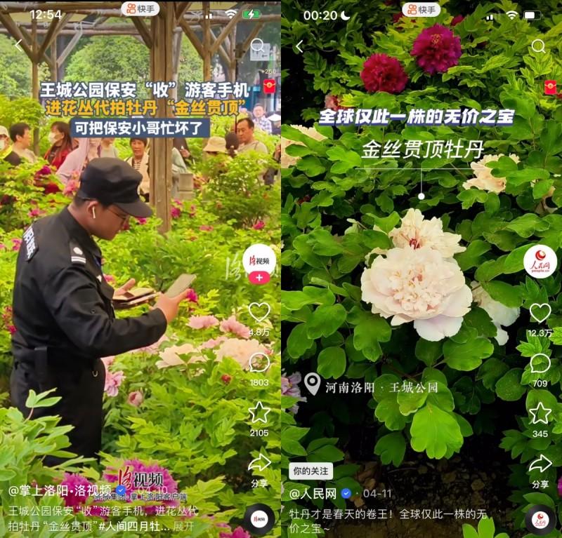 快手怎么买播放量还有评论呢_快手评论费流量吗_快手买评论会影响热门吗