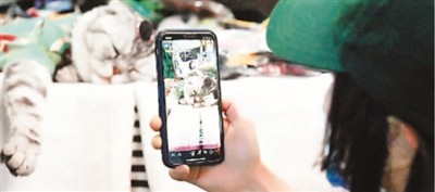 花钱买快手播放量_快手买播放量会被发现吗_快手上如何买播放量