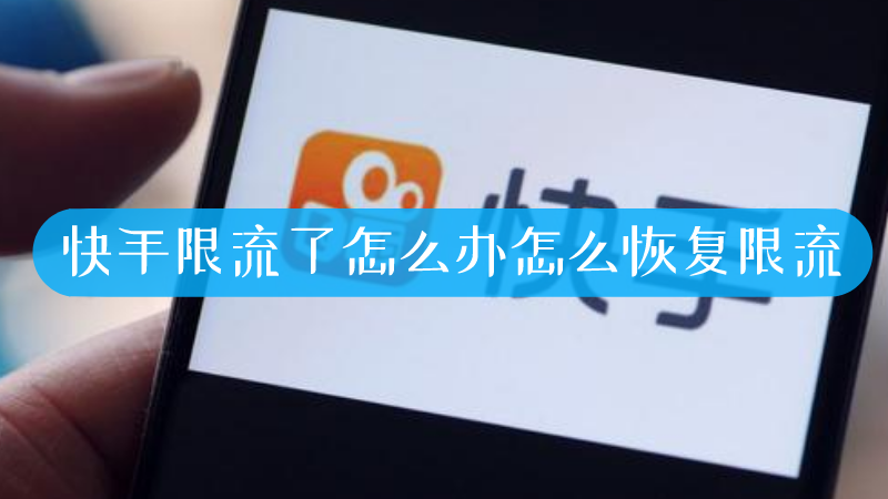快手限流点赞数会增长吗_快手买点赞会限流吗_快手点赞限流啥意思