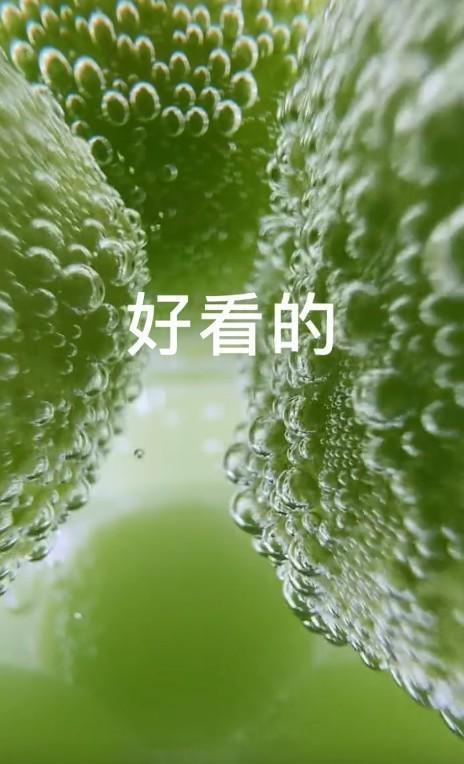 卡盟自助下单24小时_自助下单卡通图片_全自助下单发卡平台