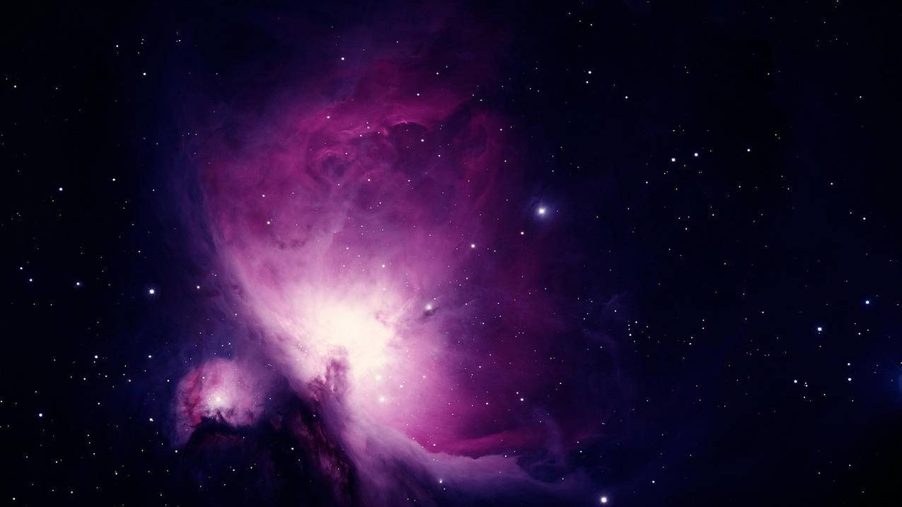 闲鱼买粉_闲鱼上的粉水是真的吗_闲鱼粉是什么意思