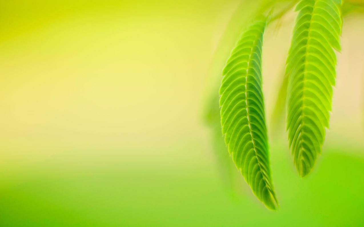 闲鱼刷想要有用吗_闲鱼刷粉入口_闲鱼刷钻可靠吗