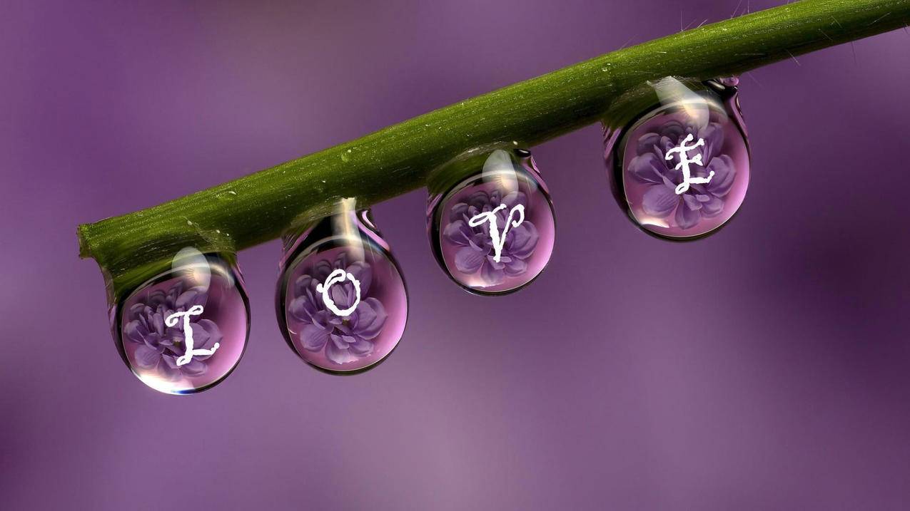 快手花钱买热度_快手怎么买热搜多少钱_快手搛钱
