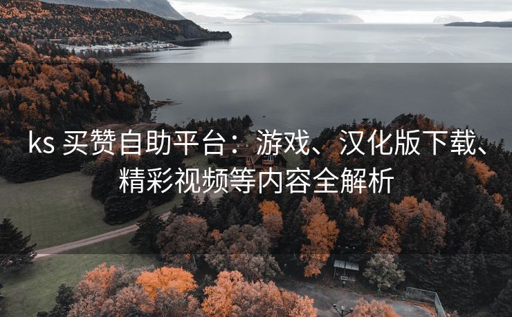 ks 买赞自助平台：游戏、汉化版下载、精彩视频等内容全解析