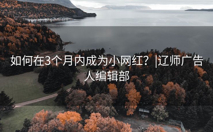 如何在3个月内成为小网红？|辽师广告人编辑部