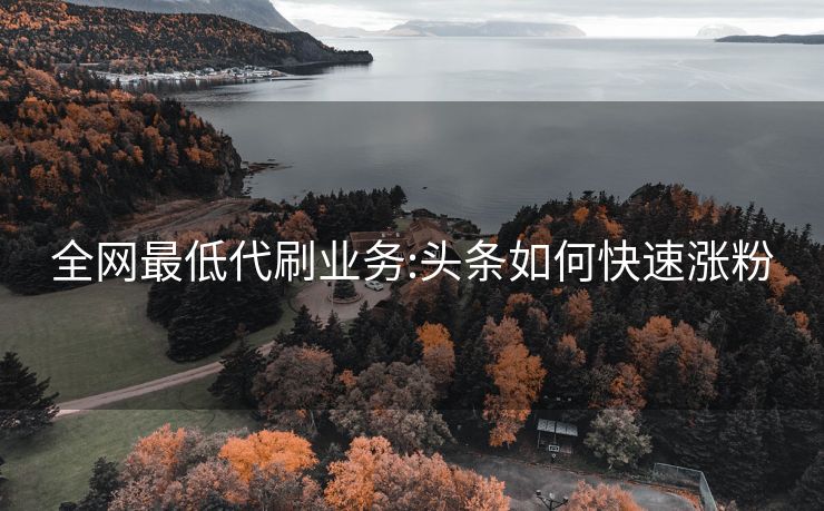 全网最低代刷业务:头条如何快速涨粉