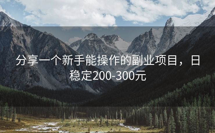 分享一个新手能操作的副业项目，日稳定200-300元