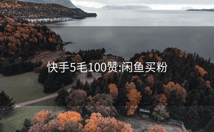 快手5毛100赞:闲鱼买粉