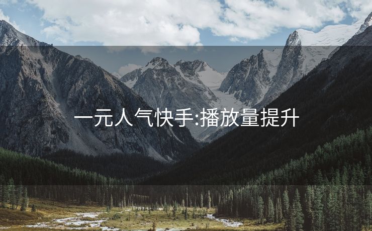 一元人气快手:播放量提升