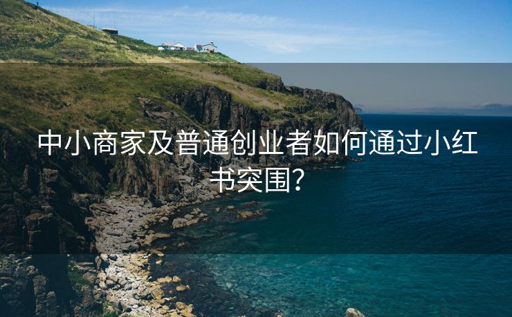 中小商家及普通创业者如何通过小红书突围？