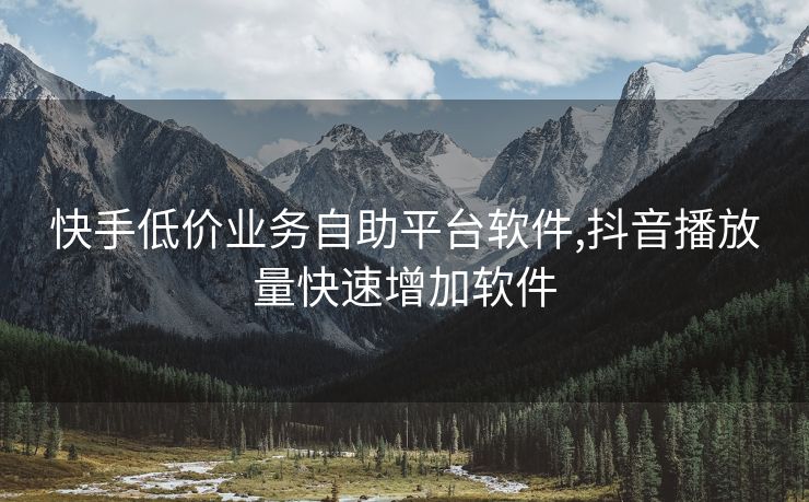 快手低价业务自助平台软件,抖音播放量快速增加软件