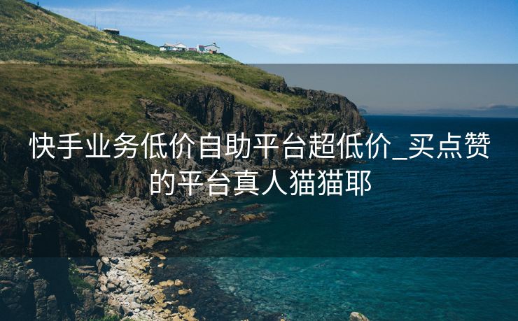 快手业务低价自助平台超低价_买点赞的平台真人猫猫耶