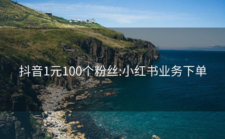 抖音1元100个粉丝:小红书业务下单
