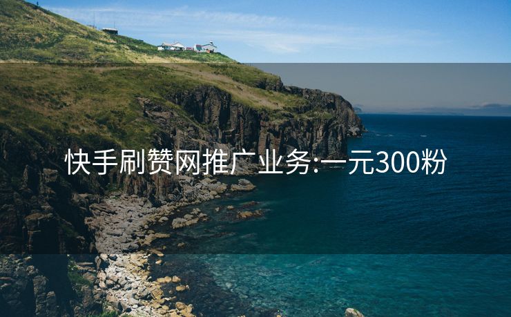 快手刷赞网推广业务:一元300粉