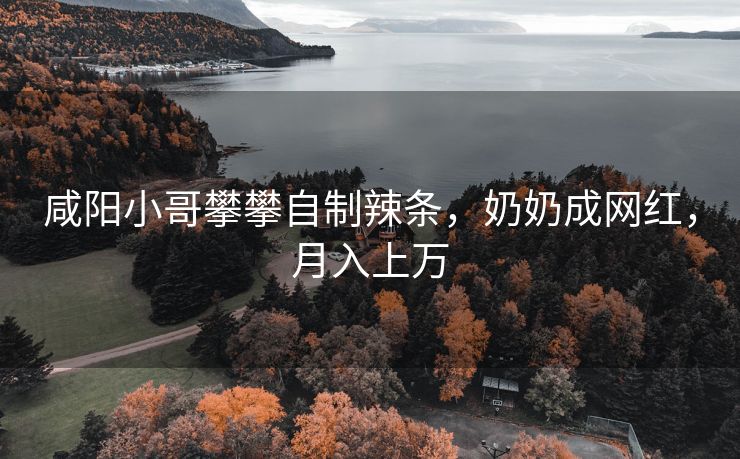 咸阳小哥攀攀自制辣条，奶奶成网红，月入上万