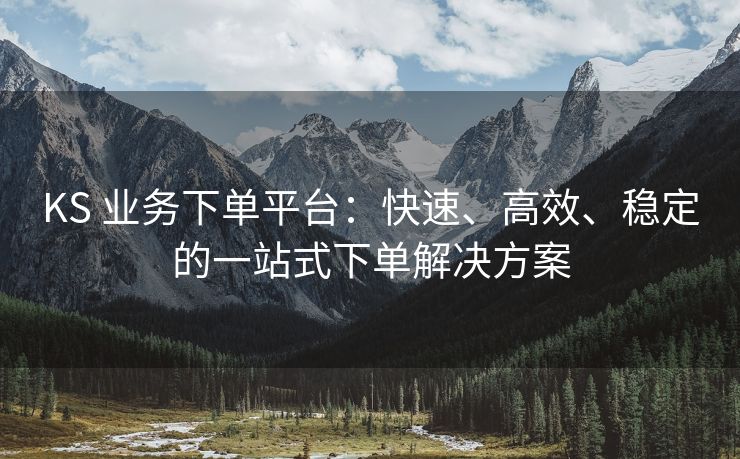 KS 业务下单平台：快速、高效、稳定的一站式下单解决方案