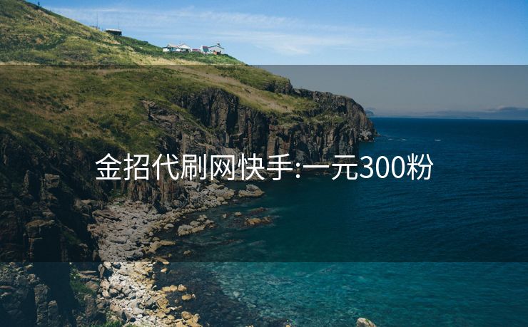 金招代刷网快手:一元300粉