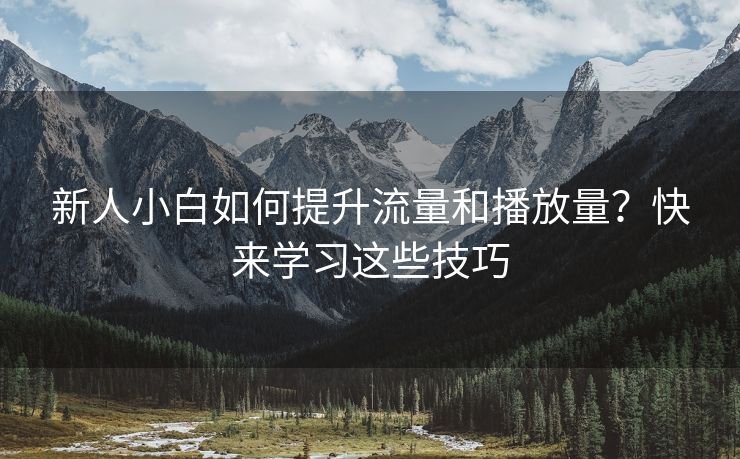 新人小白如何提升流量和播放量？快来学习这些技巧