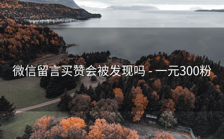 微信留言买赞会被发现吗 - 一元300粉