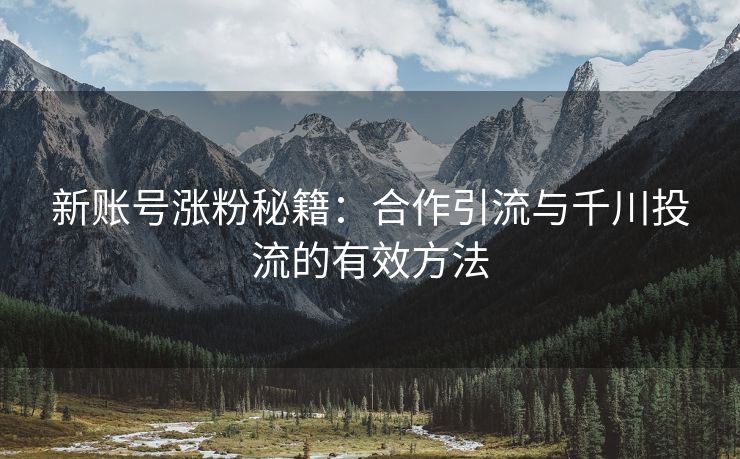 新账号涨粉秘籍：合作引流与千川投流的有效方法