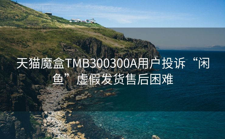 天猫魔盒TMB300300A用户投诉“闲鱼”虚假发货售后困难