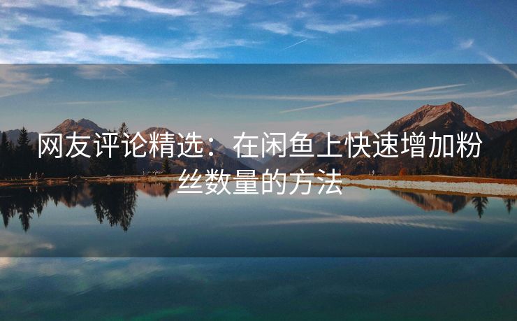 网友评论精选：在闲鱼上快速增加粉丝数量的方法