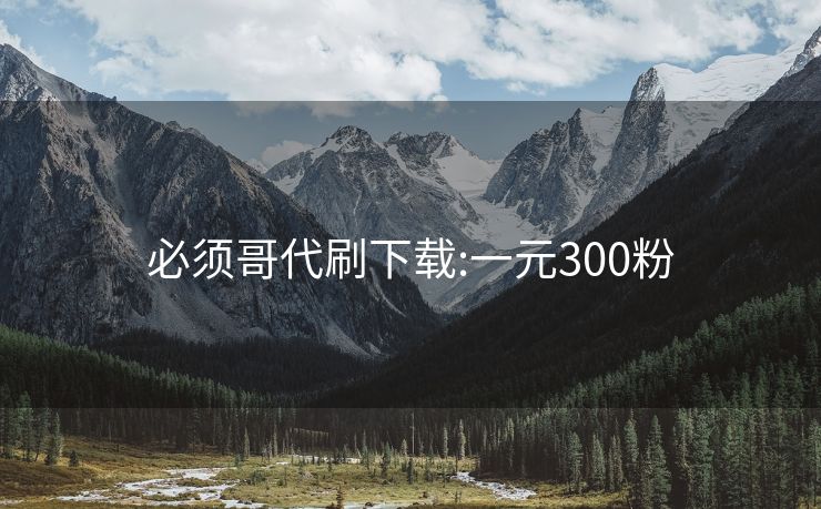 必须哥代刷下载:一元300粉