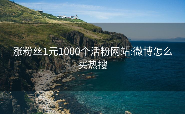 涨粉丝1元1000个活粉网站:微博怎么买热搜