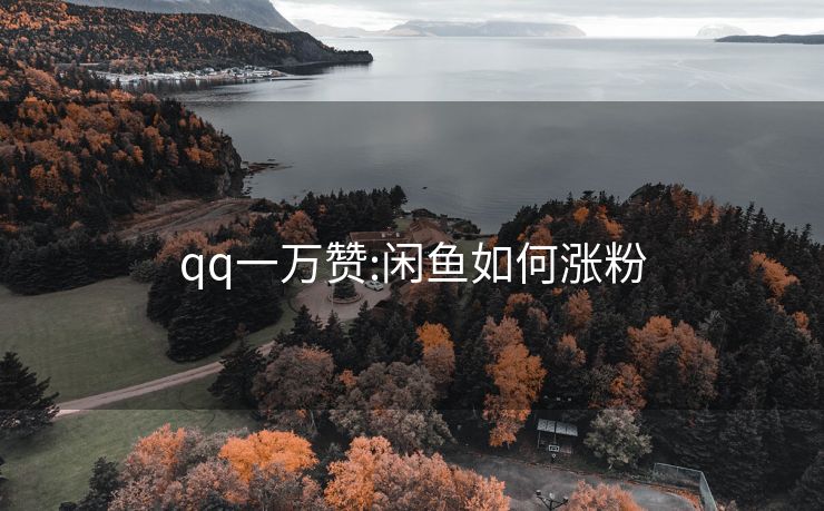 qq一万赞:闲鱼如何涨粉