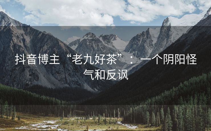 抖音博主“老九好茶”：一个阴阳怪气和反讽