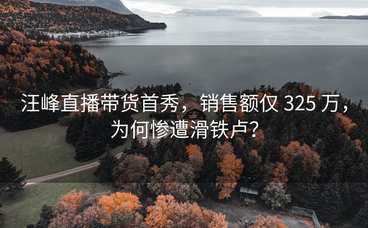 汪峰直播带货首秀，销售额仅 325 万，为何惨遭滑铁卢？