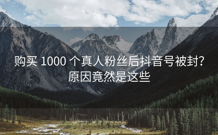 购买 1000 个真人粉丝后抖音号被封？原因竟然是这些