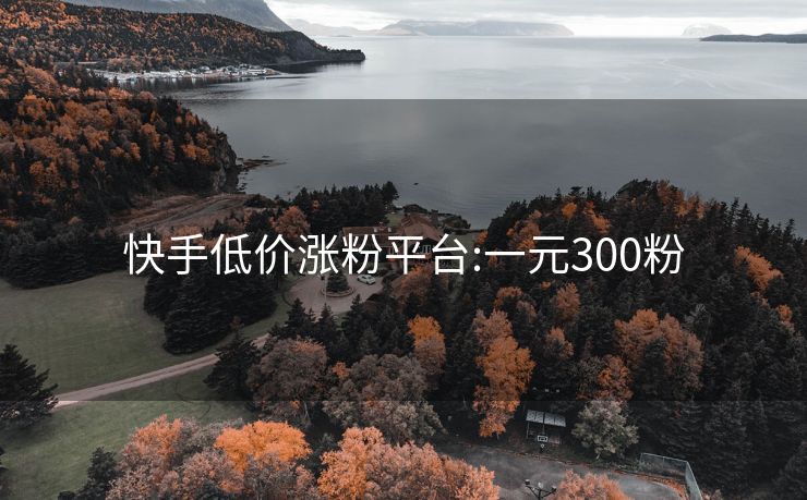 快手低价涨粉平台:一元300粉
