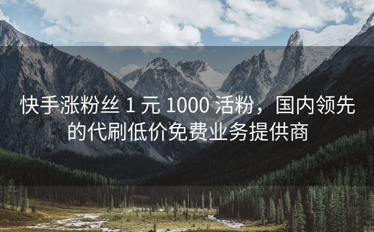 快手涨粉丝 1 元 1000 活粉，国内领先的代刷低价免费业务提供商