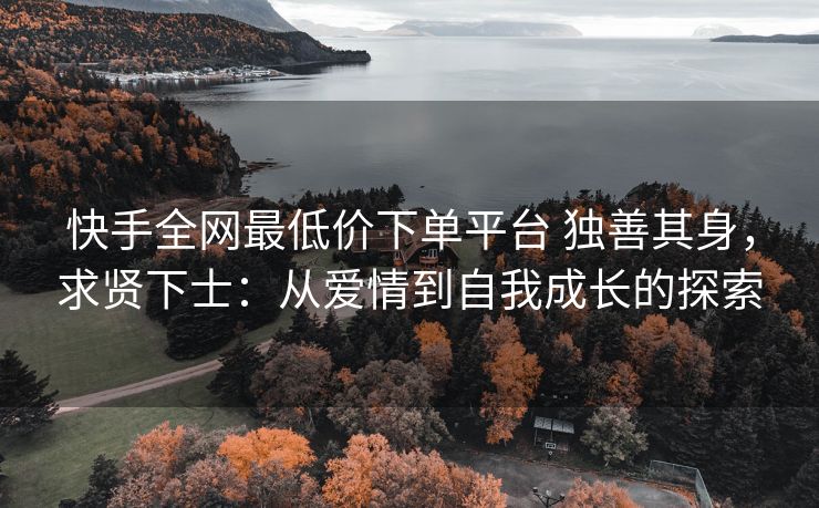 快手全网最低价下单平台 独善其身，求贤下士：从爱情到自我成长的探索