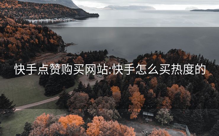 快手点赞购买网站:快手怎么买热度的