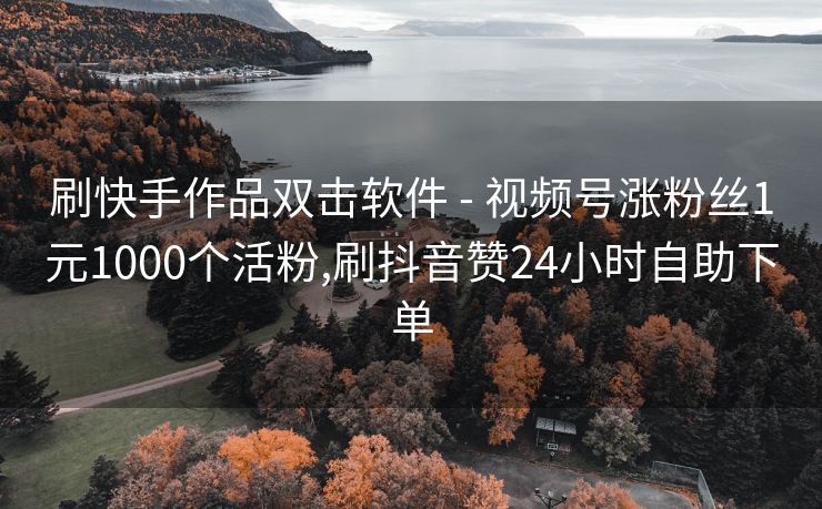刷快手作品双击软件 - 视频号涨粉丝1元1000个活粉,刷抖音赞24小时自助下单