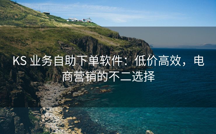 KS 业务自助下单软件：低价高效，电商营销的不二选择