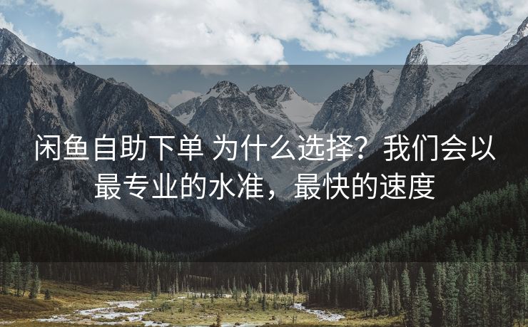闲鱼自助下单 为什么选择？我们会以最专业的水准，最快的速度