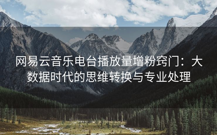 网易云音乐电台播放量增粉窍门：大数据时代的思维转换与专业处理
