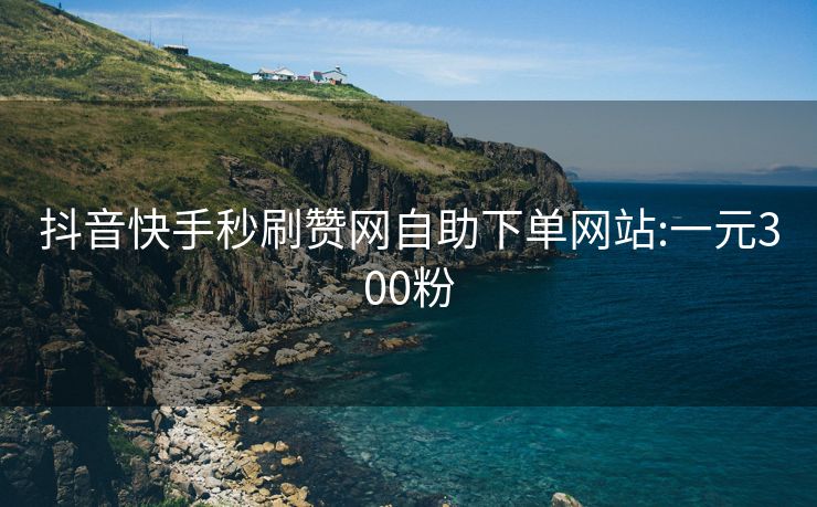 抖音快手秒刷赞网自助下单网站:一元300粉